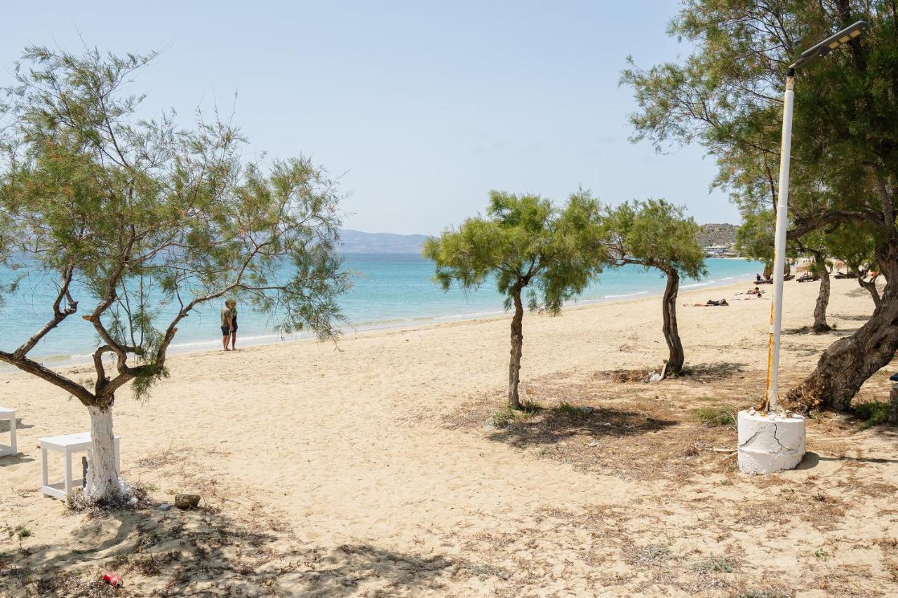 Flerianos Studios Naxos Agios Prokopios  Ngoại thất bức ảnh