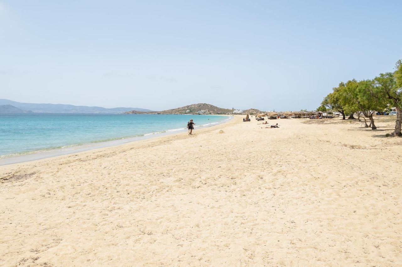 Flerianos Studios Naxos Agios Prokopios  Ngoại thất bức ảnh